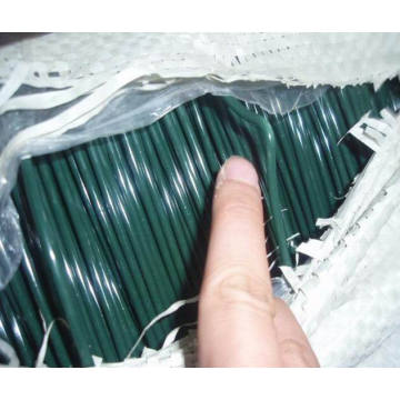 PVC Coated Gi Wire/PVC Coated Galvanized Iron Wire